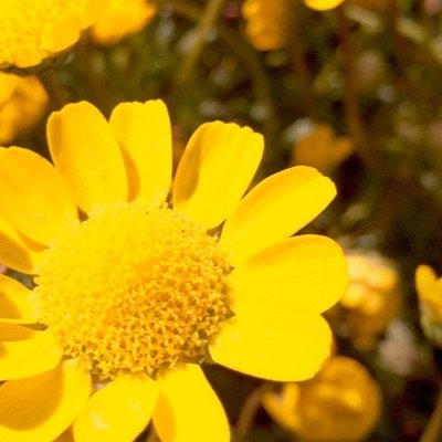 aoop0808's profile picture. 自由を履き違えないように