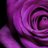 JodyRiley14's profile image