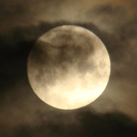 deshy_bot's profile picture. 極度の自信喪失、人見知りから脱した経験を元に本や自分の考えを発信します。リプライには作者が真摯に応じさせていただきます。※メンタルヘルスについて理解がないため、鬱病の方は閲覧をお控えください。   (C)@Yatapepper