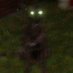 smile dog (@lucasmontemuro) Twitter profile photo