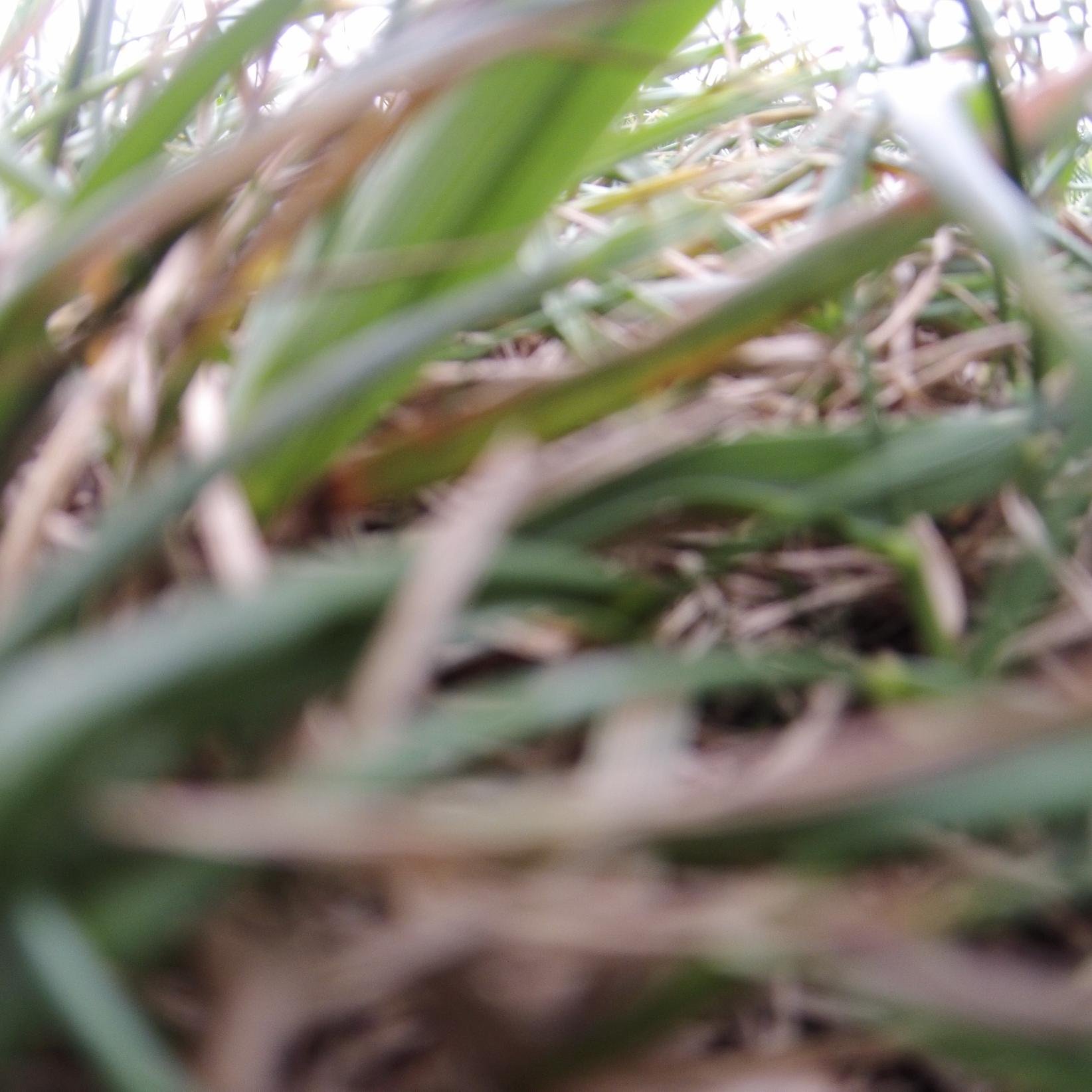 Drone Underground is a place people can share, learn and stay updated on the latest Drone News.
