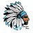 IndigenousTrend's profile image