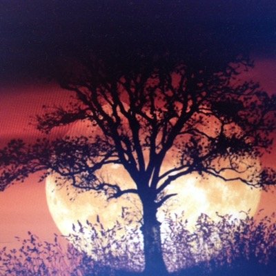 PeoPeter's profile picture. 