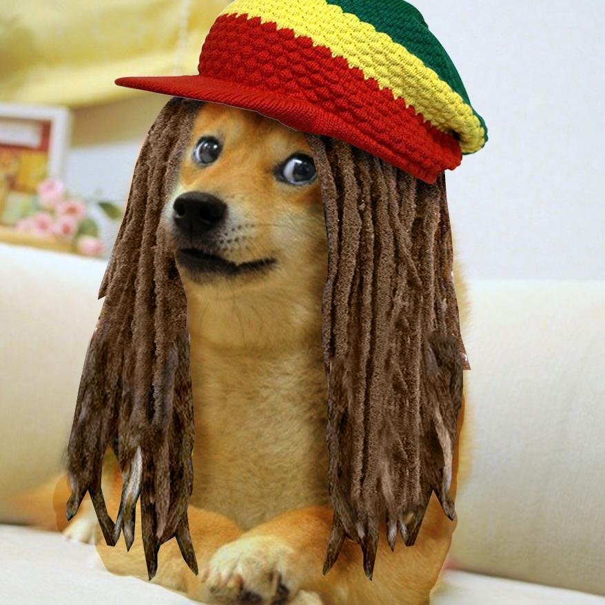 #CannabisCoin a Dogecoin focus on making life better for people around the world.