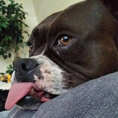 BullockKory's profile picture. 