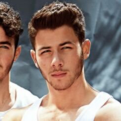 1/3 Jonas brothers