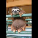 Hannah Sayer - @HannahSayer3 - Twitter