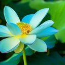 عبد لفتاح العماد (@080460db073940d) Twitter