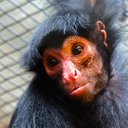 jan mast - @janmast1 - Twitter