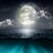 elvallecas79's profile image