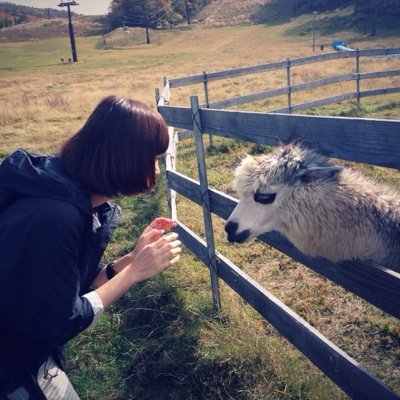 カワウソ に 似てる らしい 。