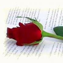 Lucia2718's profile picture. No hay barrera, cerradura ni cerrojo que puedas imponer a la libertad de mi mente. Virginia Woolf