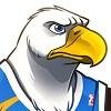 AMERICAN Bald Eagle, Talented Ballplayer, and FBA Second Year with the Tallahassee Typhoons! GO USA!!