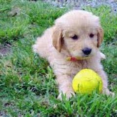 angelicagratero's profile picture. ¡Feliz de ser Venezolana, amante de la naturaleza y de mi patria. Mi Diosa es la luna; mi Dios el sol y la que da vida la madre tierra.