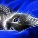 Rebecca Killam - @beccak36 - Twitter