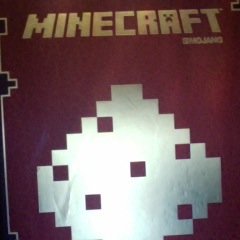 I am a natural born gamer who plays angry birds and mine craft i am a boy who's 13 lol
