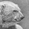 Belyi_Mish's profile picture. RT≠endorsement (a retweet does not signify approval or verification)