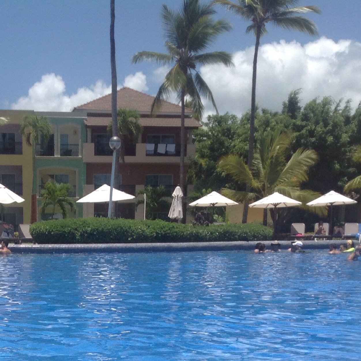 shazagroovy's profile picture. 