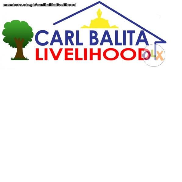 CBLCMla_CBalita's profile picture. For further inquiry. Pls call our Contact Nos: 735-0740 / 735-4098 Mobile Nos.: 0917-6317747 / 0929-8798803
