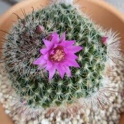 tgnkjzo's profile picture. 