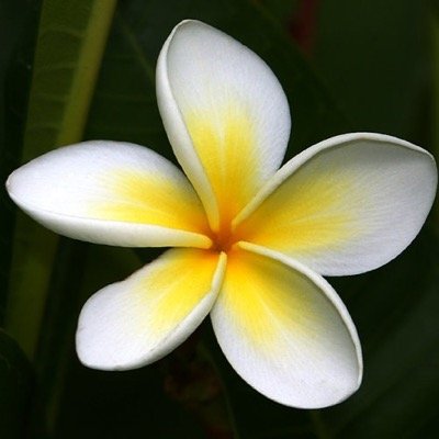 Kerri18's profile picture. 