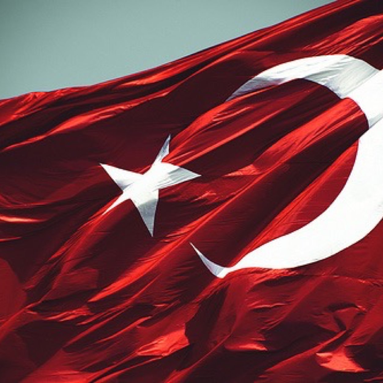 erdocan25's profile picture. 