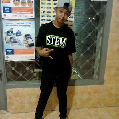 stemjunior's profile picture. 