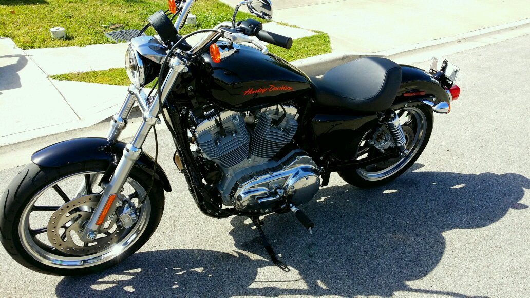 elisaro53603693's profile picture. 