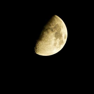 happyatmidnight's profile picture. Inappropriate thoughts & @midnight #jokes that could get me fired. Disclaimer: Crude, Sarcastic, Juvenile #humor