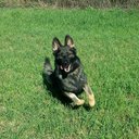 Ed Hall - @ejhall73 - Twitter