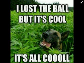 If you love to laugh follow me !!!!!