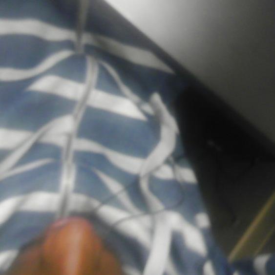 goldbean1's profile picture. Don't forget to follow me.