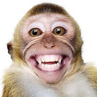 Brett Serjeantson (@bserjeantson) 's Twitter Profile Photo Brett Serjeantson (@bserjeantson) 's Twitter Profile Photo
