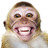 BSerjeantson's profile image