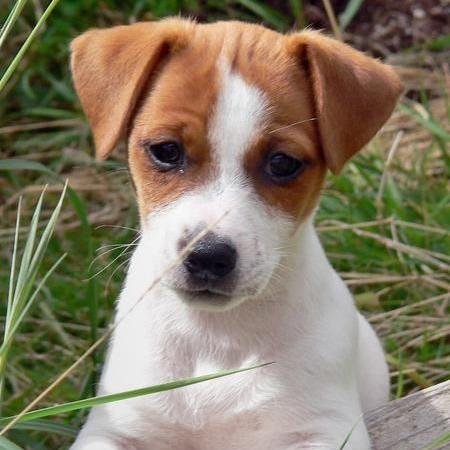 masterdeb's profile picture. think.. think.. think.. ok, now do... DONE