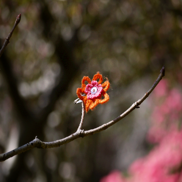 RGKphotos's profile picture. An Italian living in Australia, amateur photographer and wanna be artist!