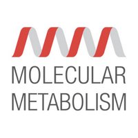 Molecular Metabolism(@MolMetab) 's Twitter Profile Photo