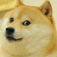 Doge RT(Follow Back) (@dogecoinrt) 's Twitter Profile