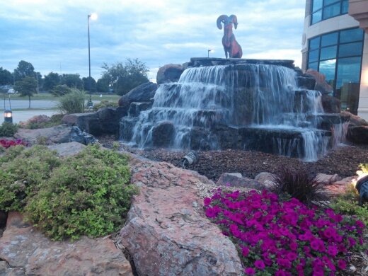 lisa_morin40's profile picture. A woman living life