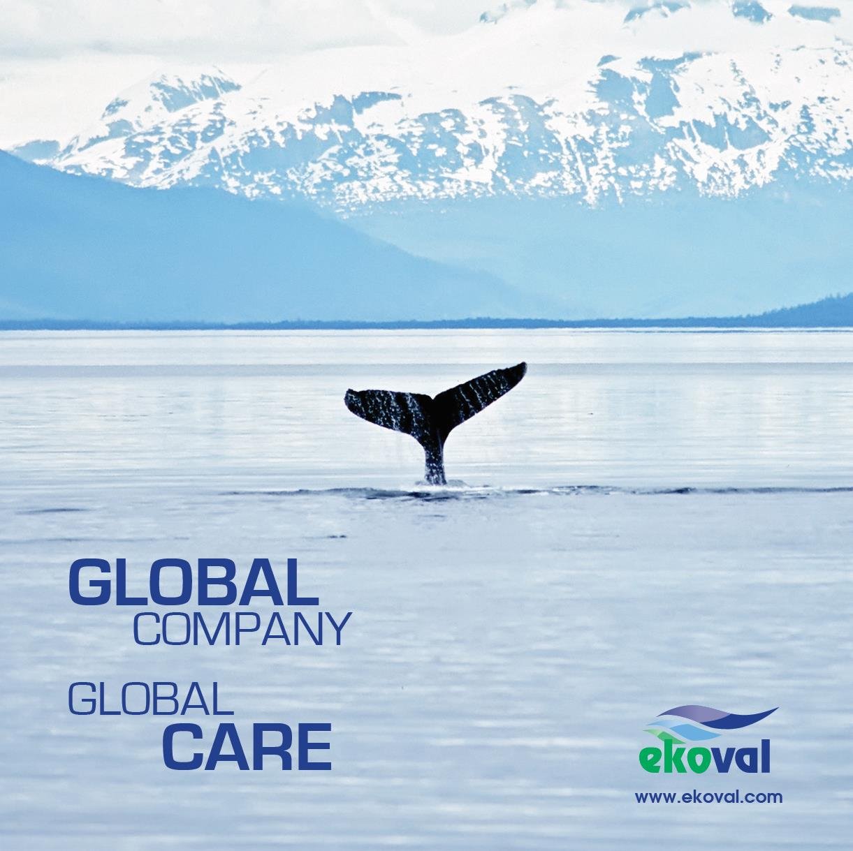 Global Company Global Care