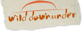 Wild Down Under is a site about Wildlife, Camping & Caravanning in Australia