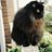mollyfaith71's profile image