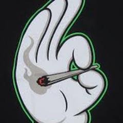 zinedinelasfar's profile picture. 