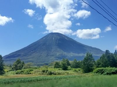 主に情報収集用として利用させてもらってます。