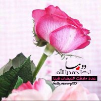 arwa (@arwaalgoud) Twitter profile photo