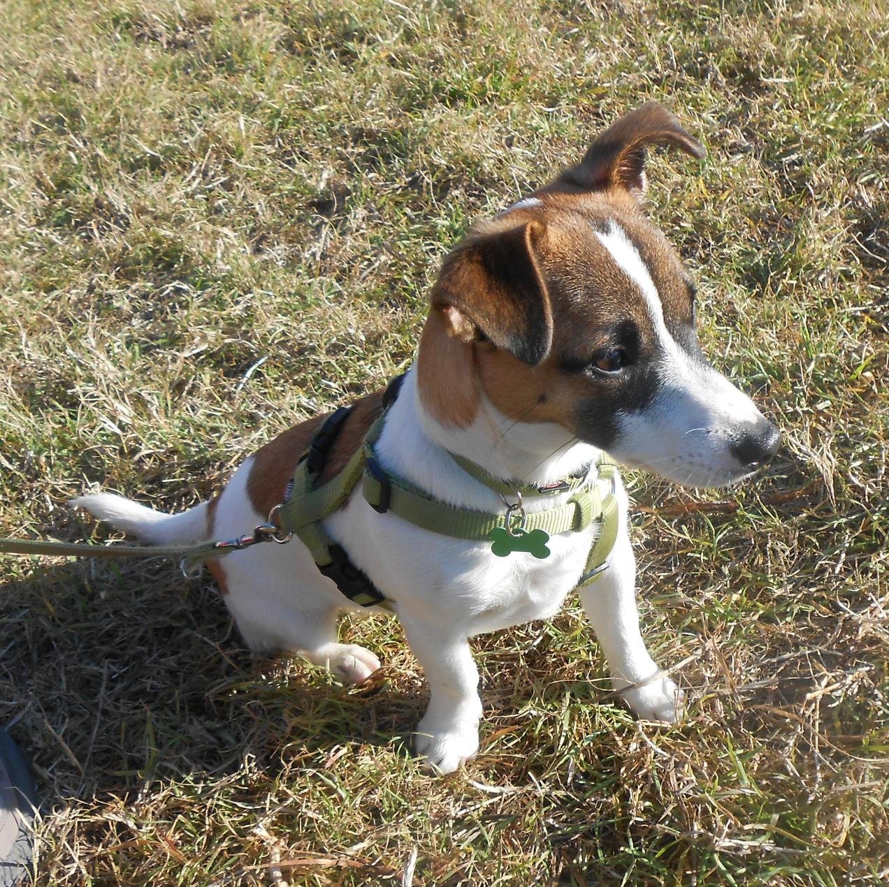 isabellam357's profile picture. 