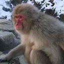 Lyn Hunt - @LynHunt5 - Twitter