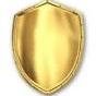 Welcome to Gold Shield Security. We can cater for all of your security needs including static, key holding, close protection, secure chaffeur, and much more....