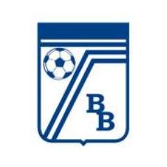 Het dames voetbalteam van Bornerbroek, uitkomend in de 4e klasse.