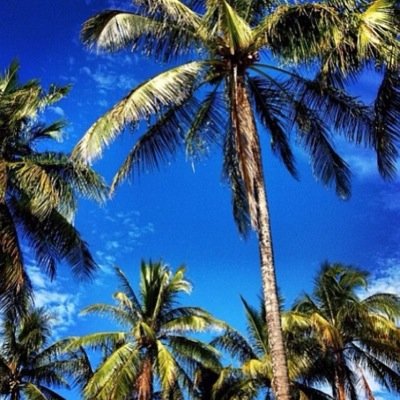 Ffgbvcxd's profile picture. 